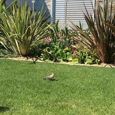 Luxurious T2 Apartment, Olhos Dagua * 알부페이라