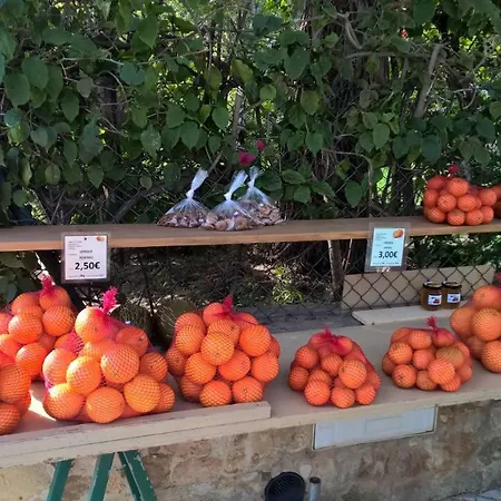 아파트 Luxurious T2 Apartment, Olhos Dagua *