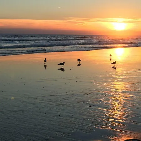 Luxurious T2 Apartment, Olhos Dagua 公寓