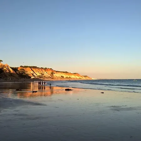 Luxurious T2 Apartment, Olhos Dagua *