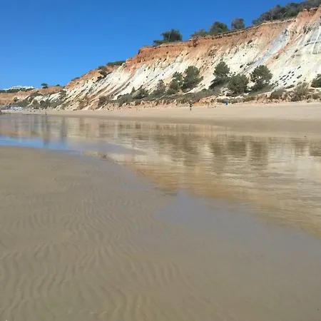 Appartement Luxurious T2 Apartment, Olhos Dagua