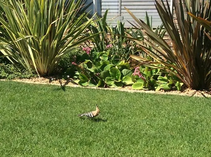 Luxurious T2 Apartment, Olhos Dagua * Albufeira