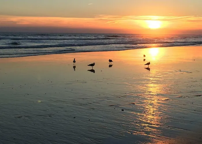 Luxurious T2 Apartment, Olhos Dagua Apartament