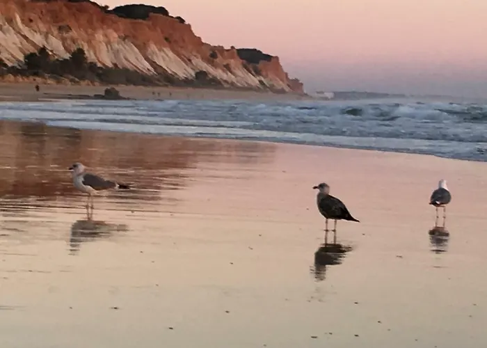 Apartament Luxurious T2 Apartment, Olhos Dagua