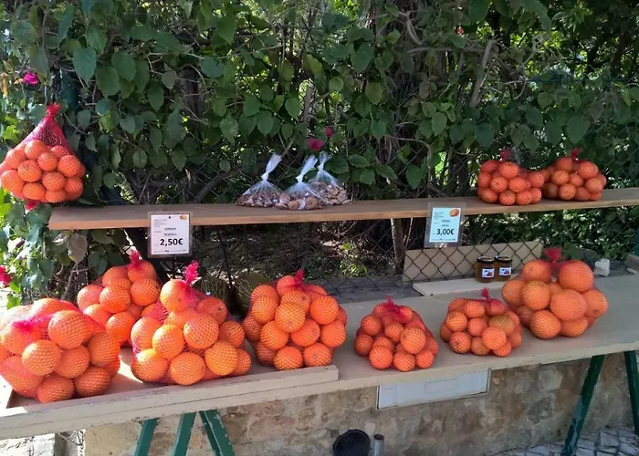 Apartament Luxurious T2 Apartment, Olhos Dagua *