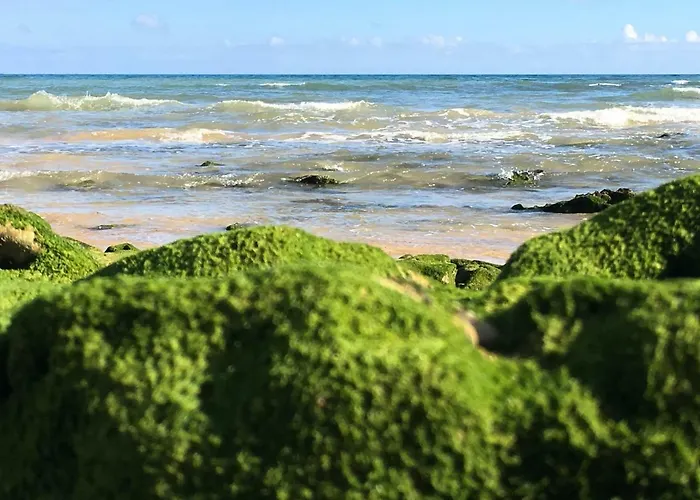 Luxurious T2 Apartment, Olhos Dagua Apartament